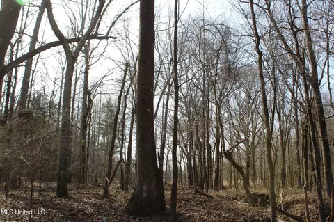 5 Hollow Crossing Cv, Senatobia, MS 38668 photo 14