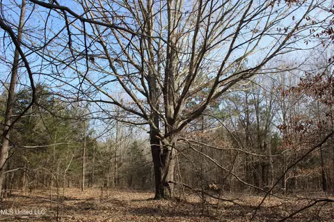 5 Hollow Crossing Cv, Senatobia, MS 38668 photo 28