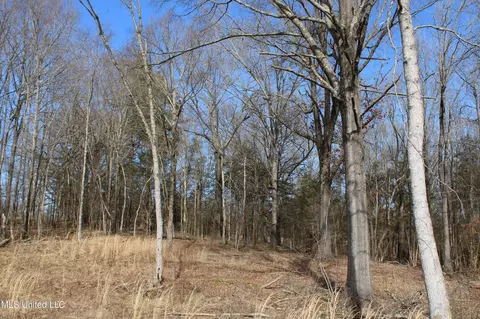 5 Hollow Crossing Cv, Senatobia, MS 38668 photo 6