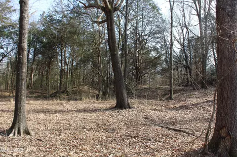 5 Hollow Crossing Cv, Senatobia, MS 38668 photo 18