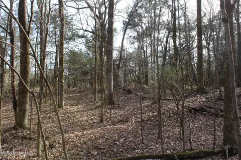 5 Hollow Crossing Cv, Senatobia, MS 38668 photo 16