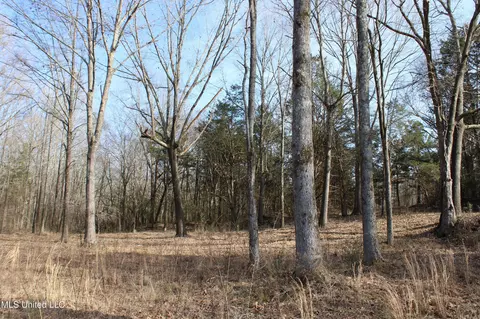 5 Hollow Crossing Cv, Senatobia, MS 38668 photo 19