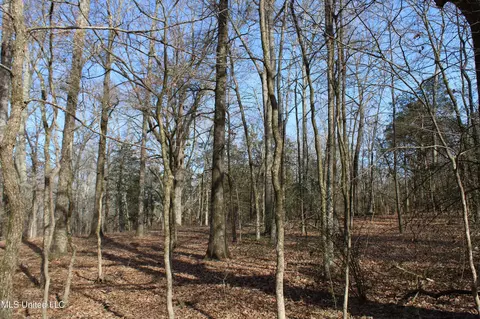 5 Hollow Crossing Cv, Senatobia, MS 38668 photo 32