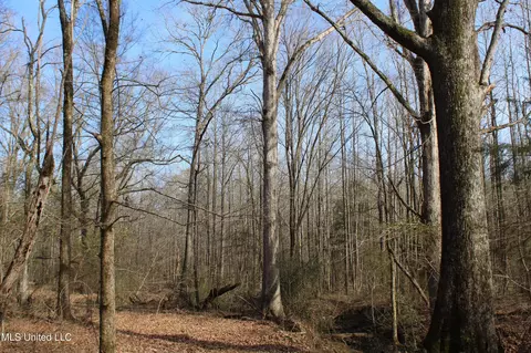 5 Hollow Crossing Cv, Senatobia, MS 38668 photo 11
