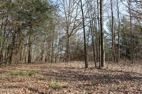 5 Hollow Crossing Cv, Senatobia, MS 38668 photo 25