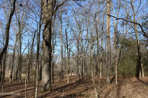 5 Hollow Crossing Cv, Senatobia, MS 38668 photo 30