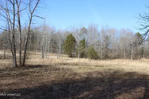 5 Hollow Crossing Cv, Senatobia, MS 38668 photo 37