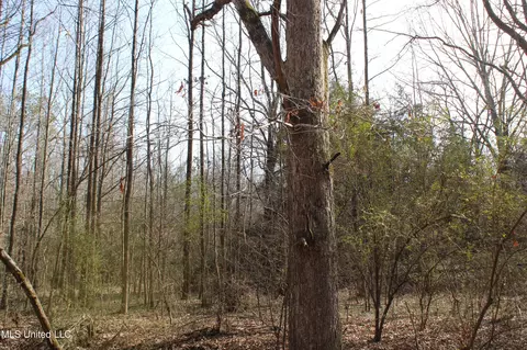 5 Hollow Crossing Cv, Senatobia, MS 38668 photo 13