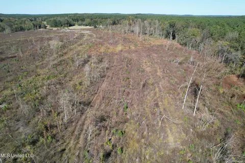 0 County Road 7, Myrtle, MS 38650 photo 5