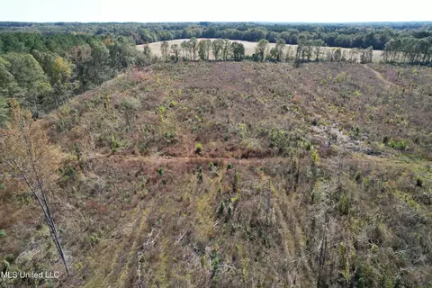 0 County Road 7, Myrtle, MS 38650 photo 6