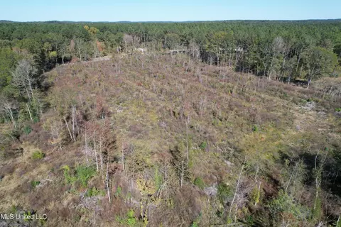 0 County Road 7, Myrtle, MS 38650 photo 7