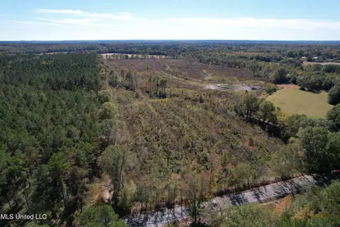 0 County Road 7, Myrtle, MS 38650 photo 2
