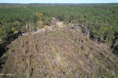 0 County Road 7, Myrtle, MS 38650 photo 8