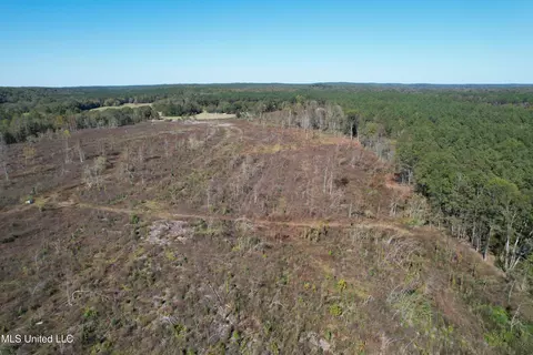 0 County Road 7, Myrtle, MS 38650 photo 4