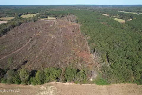 0 County Road 7, Myrtle, MS 38650 photo 3