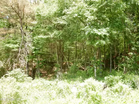 3 Looxahoma Tyro Rd, Senatobia, MS 38668