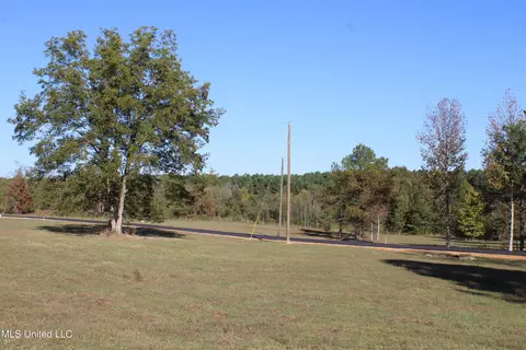 90 Bull Horn Rd, Como, MS 38619 photo 8