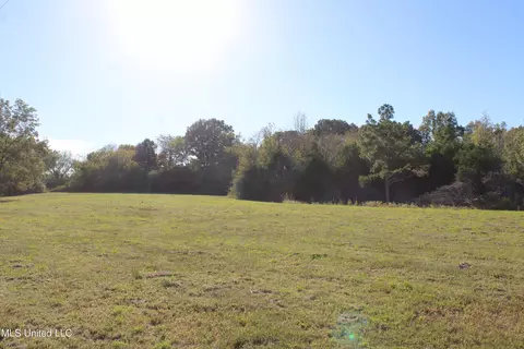 90 Bull Horn Rd, Como, MS 38619 photo 14