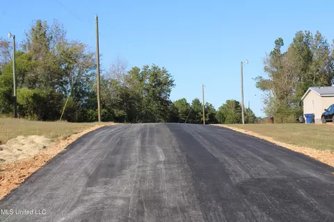 90 Bull Horn Rd, Como, MS 38619 photo 2