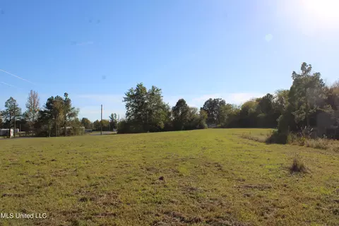 90 Bull Horn Rd, Como, MS 38619 photo 15