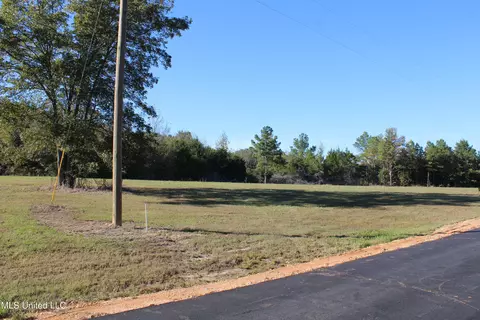 90 Bull Horn Rd, Como, MS 38619 photo 9