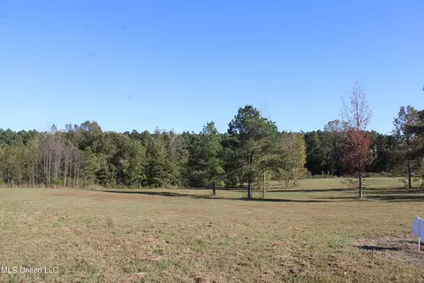 90 Bull Horn Rd, Como, MS 38619 photo 18