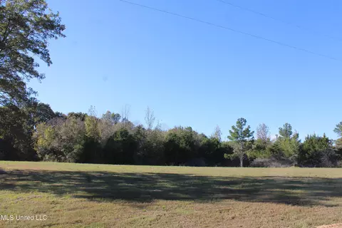 90 Bull Horn Rd, Como, MS 38619 photo 10
