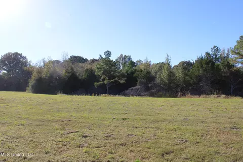 90 Bull Horn Rd, Como, MS 38619 photo 13