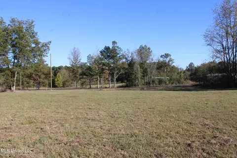 133 Bull Horn Rd, Como, MS 38619 photo 6