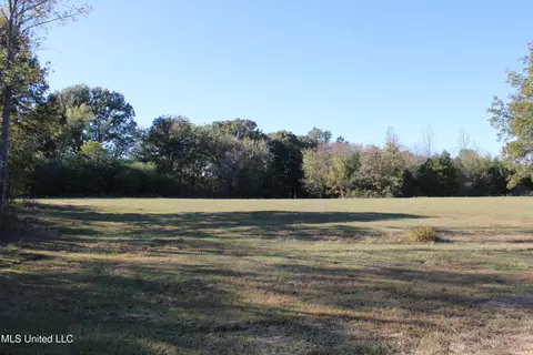 133 Bull Horn Rd, Como, MS 38619 photo 3