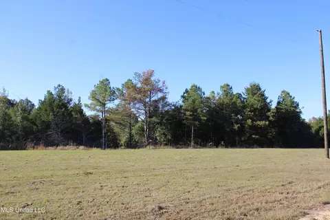 133 Bull Horn Rd, Como, MS 38619 photo 12