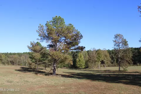 133 Bull Horn Rd, Como, MS 38619 photo 20