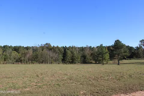 133 Bull Horn Rd, Como, MS 38619 photo 17
