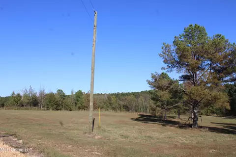 133 Bull Horn Rd, Como, MS 38619 photo 21