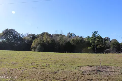 133 Bull Horn Rd, Como, MS 38619 photo 11