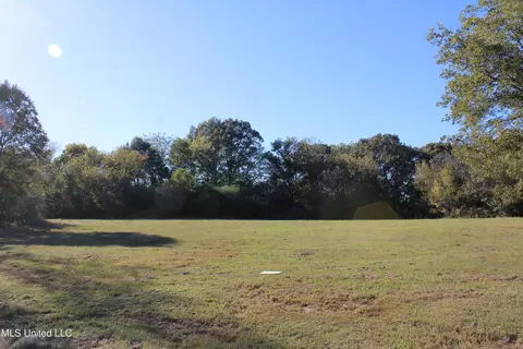 133 Bull Horn Rd, Como, MS 38619 photo 4