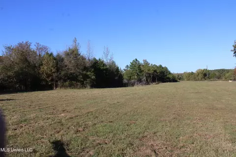 133 Bull Horn Rd, Como, MS 38619 photo 7