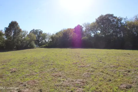 133 Bull Horn Rd, Como, MS 38619 photo 5