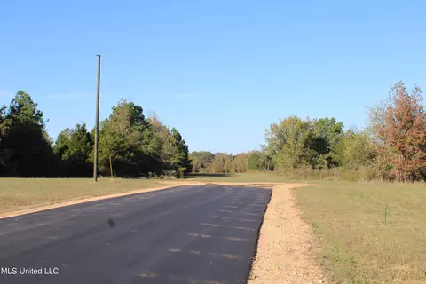 133 Bull Horn Rd, Como, MS 38619 photo 19