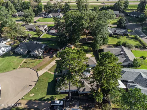View/Area - 231 Greenfield Pl, Brandon, MS 39047 photo 4 of 15