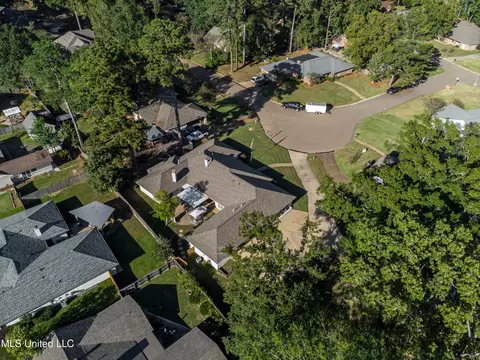 View/Area - 231 Greenfield Pl, Brandon, MS 39047 photo 8 of 15