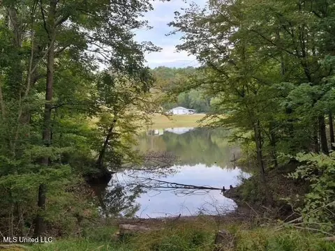 Lake View Dr, Yazoo City, MS 39194