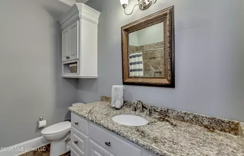Bath - 230 Arbor Trl, Brandon, MS 39047 photo 7 of 9