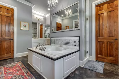 Bath - 230 Arbor Trl, Brandon, MS 39047 photo 5 of 9