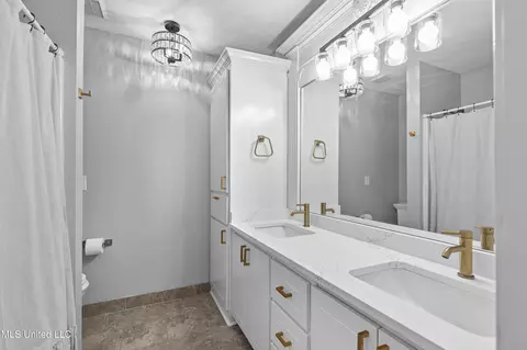 Bath - 302 Ansley Pl, Madison, MS 39110 photo 3 of 10
