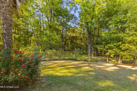 Exterior - 302 Ansley Pl, Madison, MS 39110 photo 20 of 23