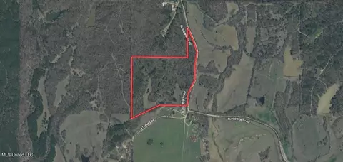 1905 Bloodworth Rd, Cascilla, MS 38920