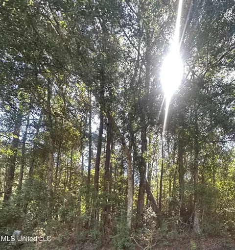 21 N St N 21st St, Ocean Springs, MS 39564
