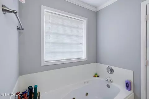 Bath - 2046 S Cobblestone Cv, Brandon, MS 39042 photo 1 of 1