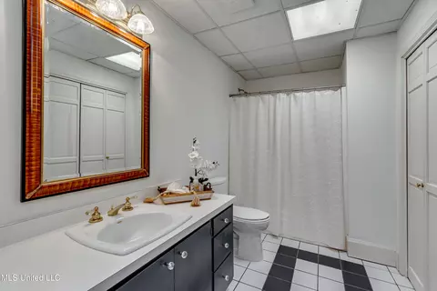 Bath - 188 Webb Ln, Flowood, MS 39232 photo 1 of 10